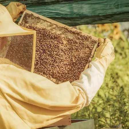 Διαμέρισμα La Casa Delle Api Villaganzerla