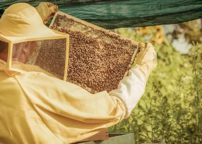 Lejlighed La Casa Delle Api Villaganzerla